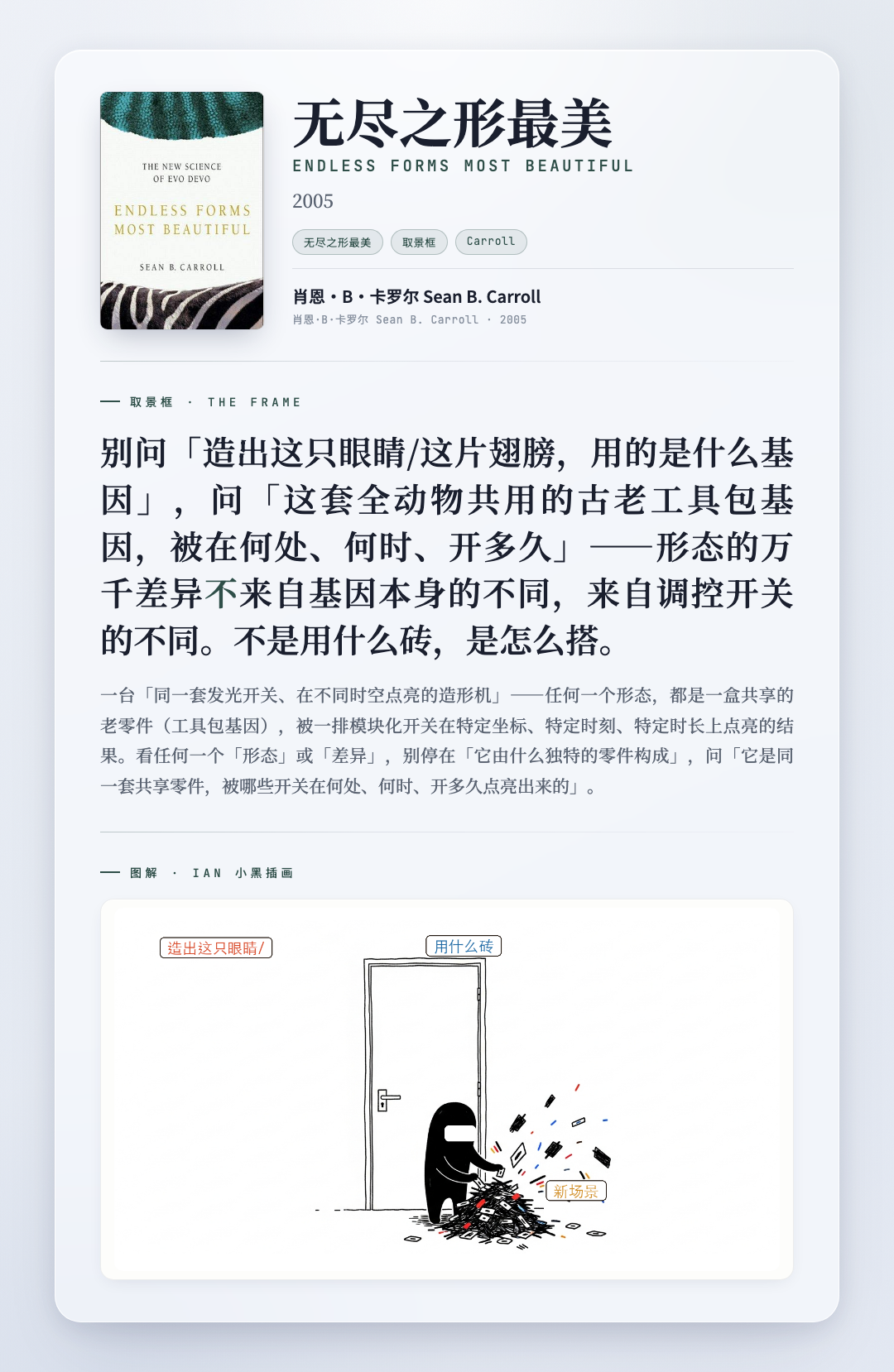 无尽之形最美 取景框卡