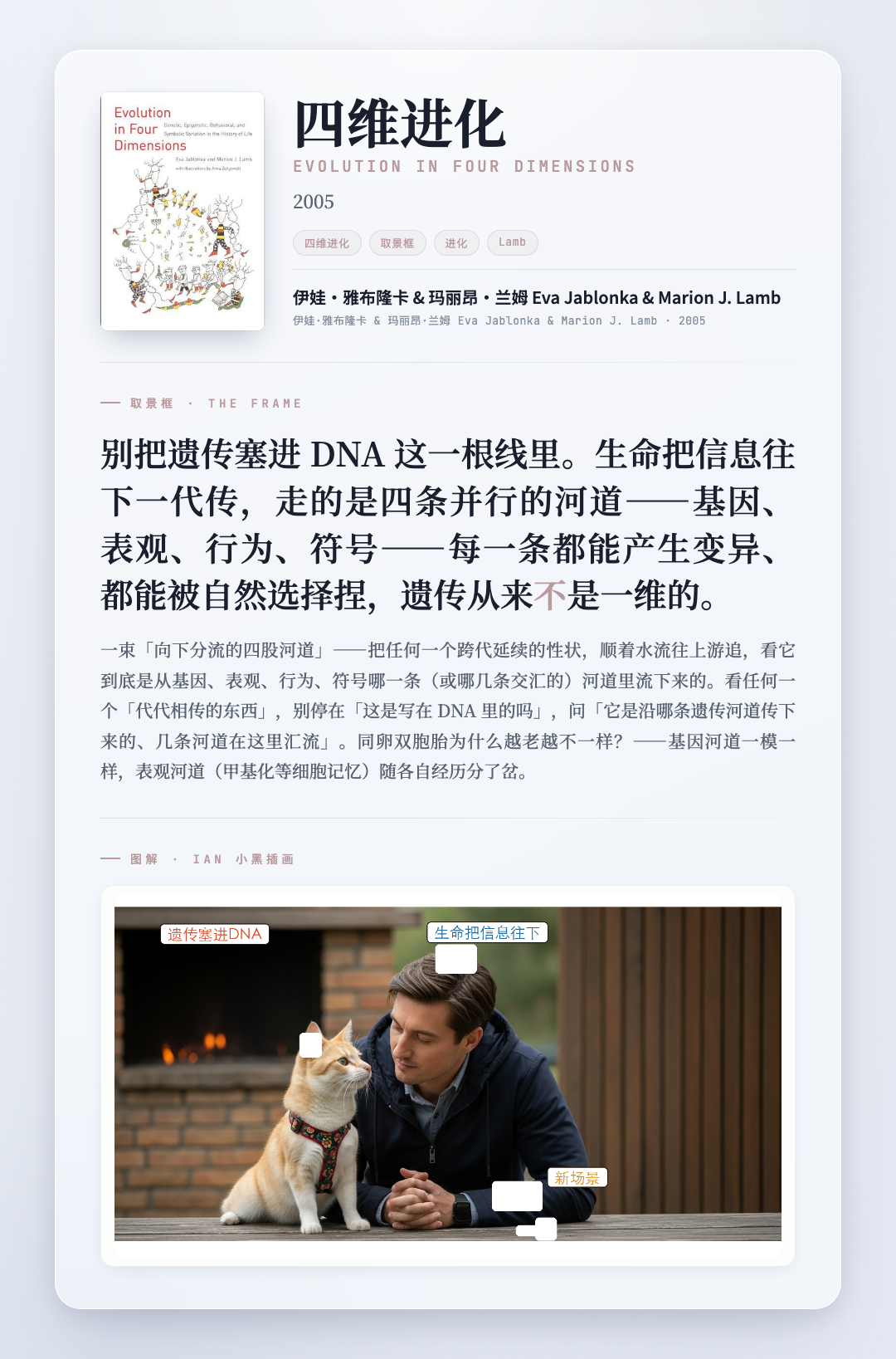 四维进化 取景框卡