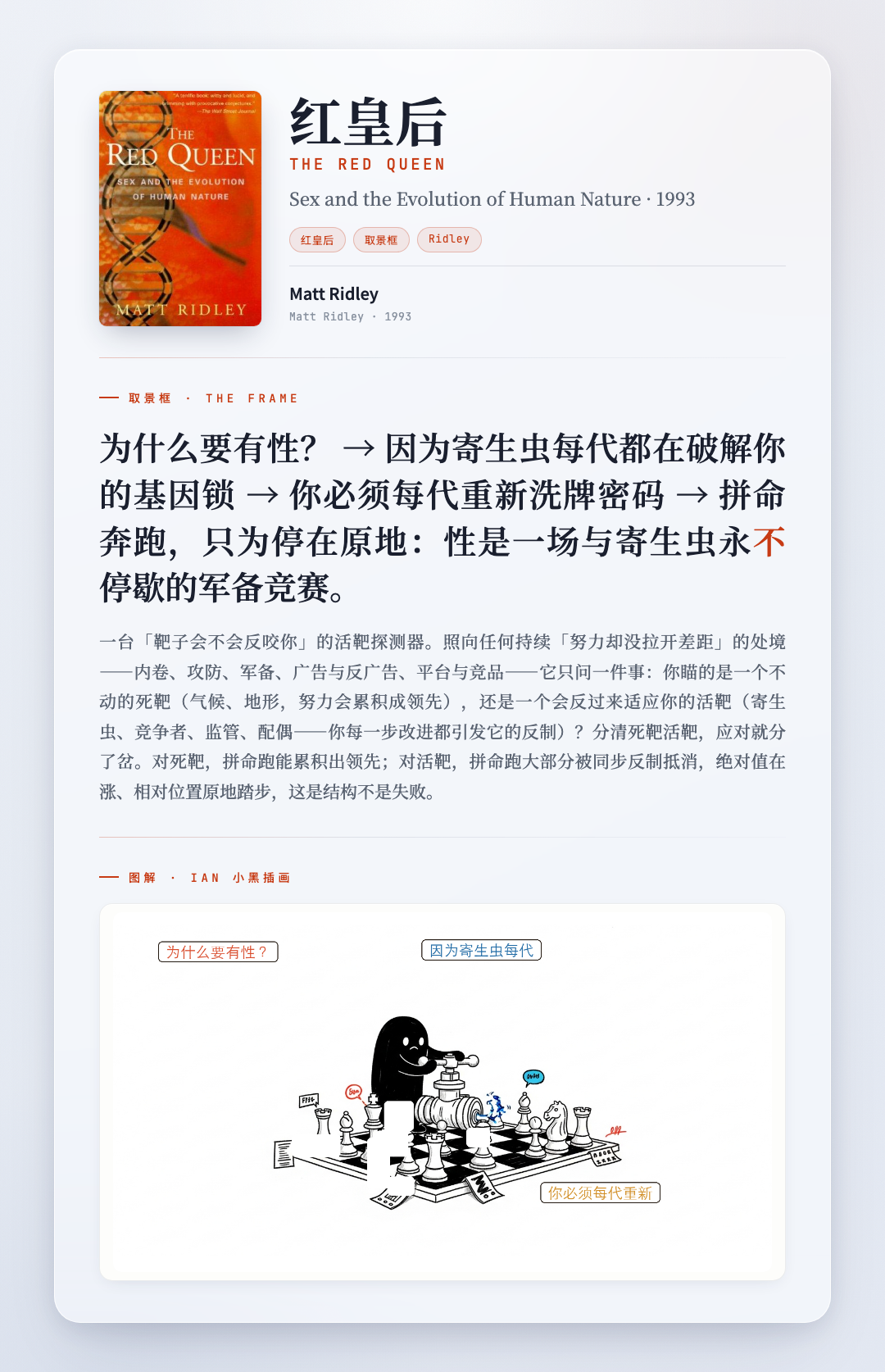 红皇后 取景框卡