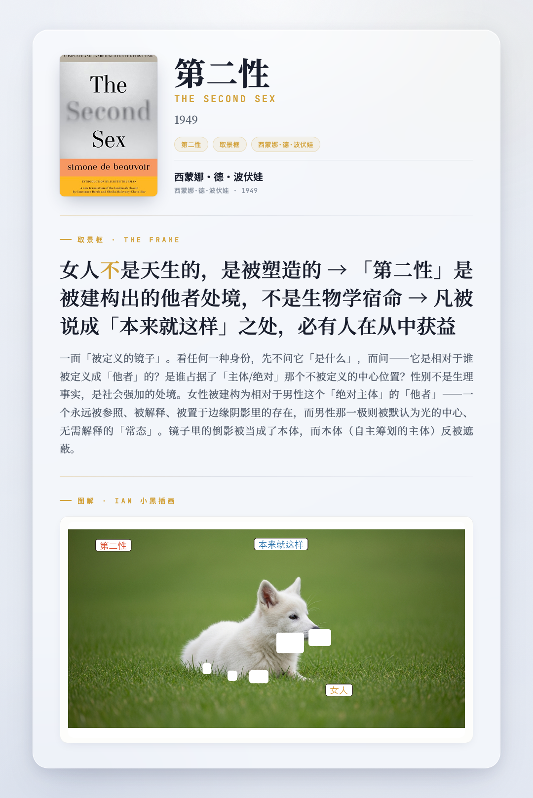 第二性 取景框卡