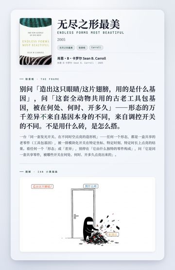 无尽之形最美 取景框卡