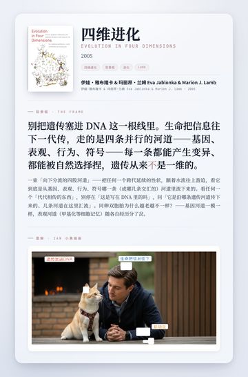 四维进化 取景框卡