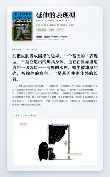 延伸的表现型 取景框卡