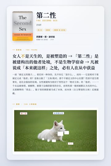 第二性 取景框卡