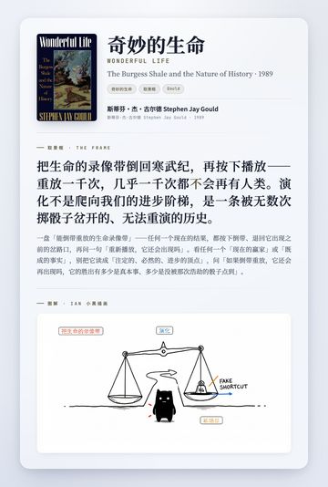 奇妙的生命 取景框卡