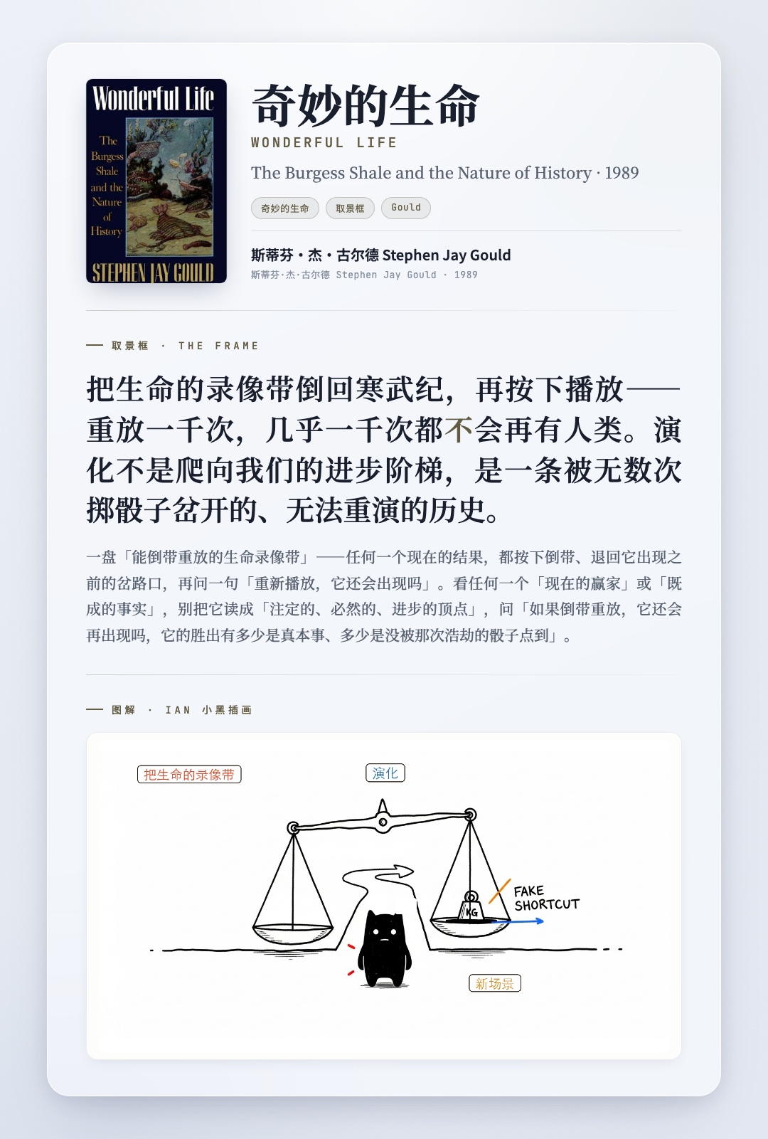 奇妙的生命 取景框卡